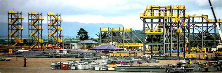 Planta S11D