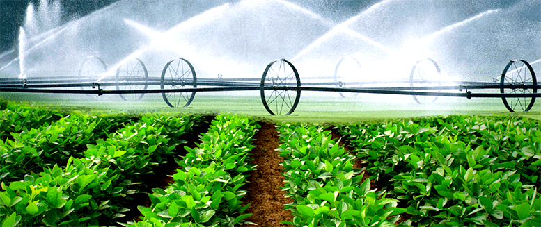 irrigação na agricultura